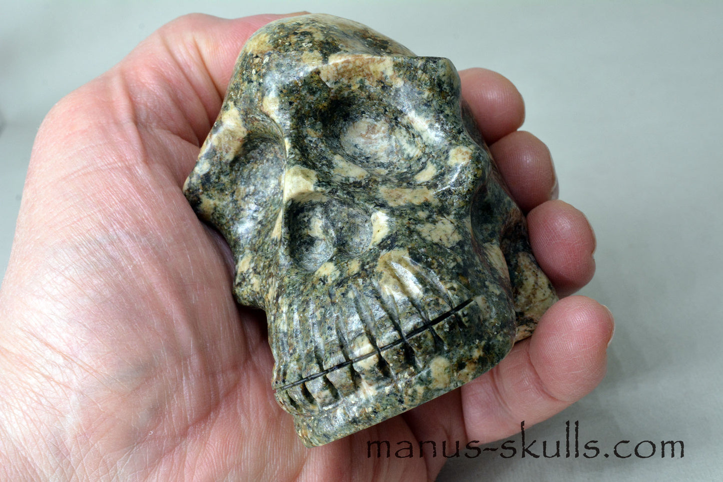 Preseli Bluestone Skull