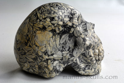 Pinolith Skull