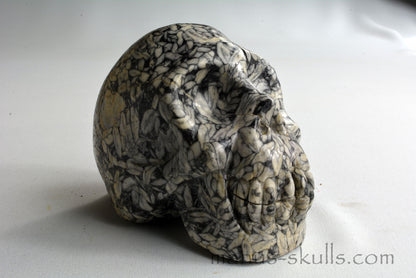 Pinolith Skull