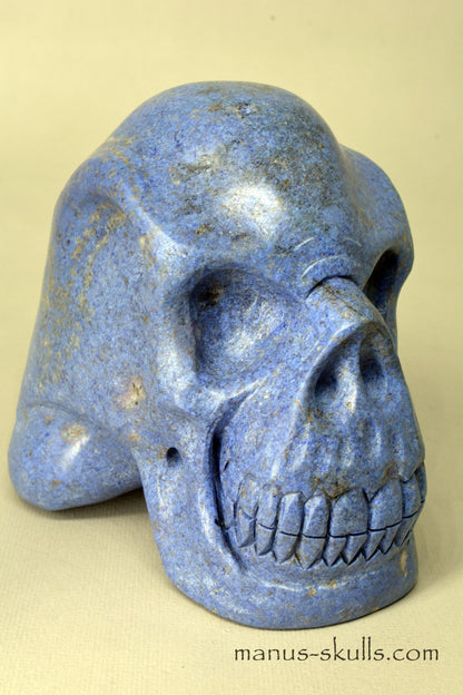 Large Dumortierite Skull