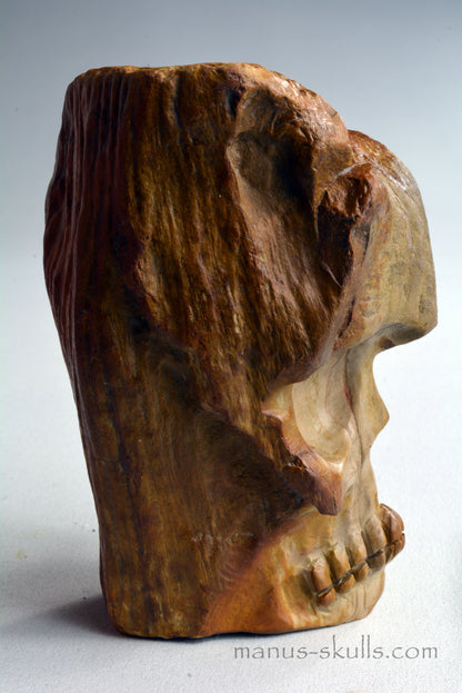 Petrified Wood Skull