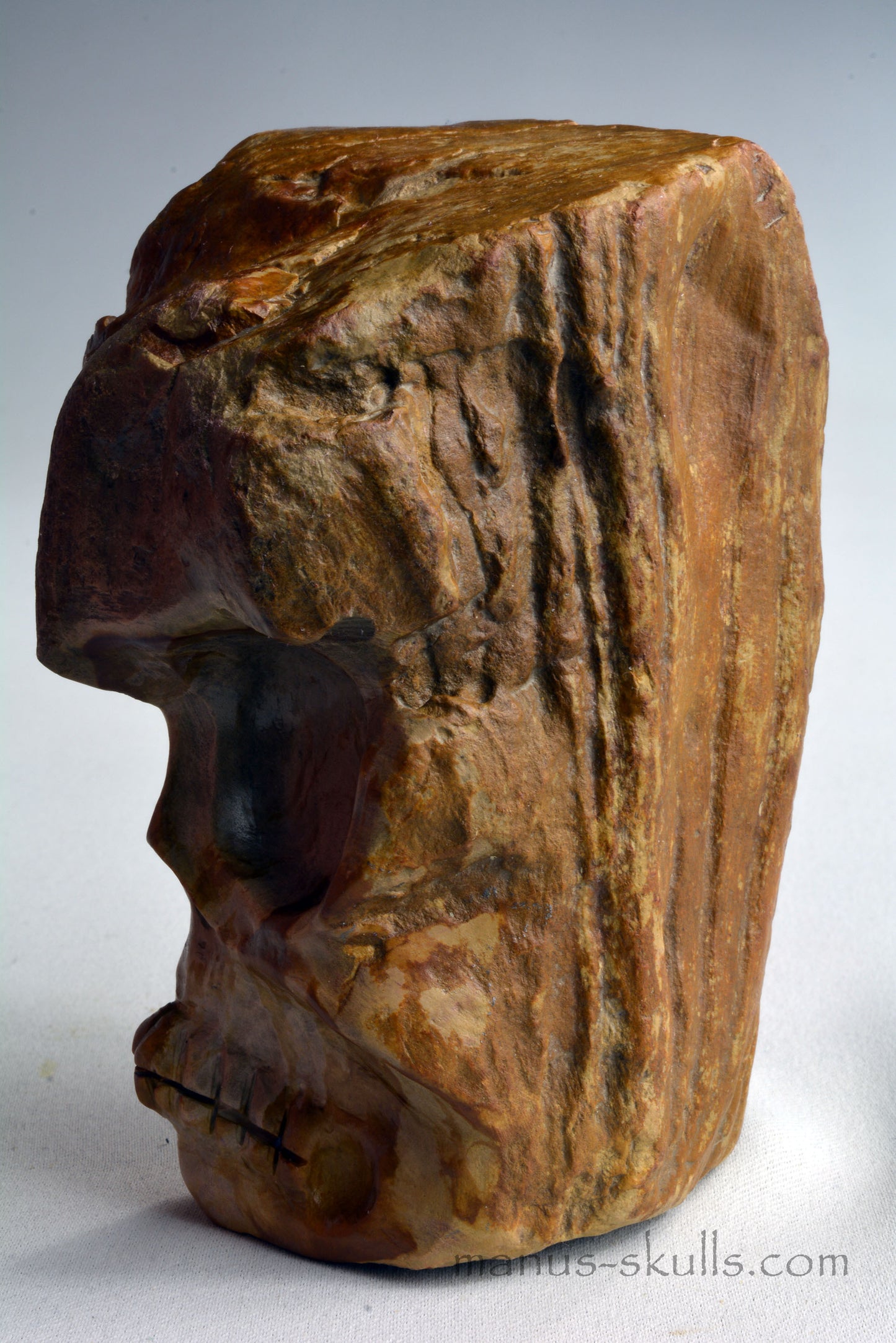 Petrified Wood Skull