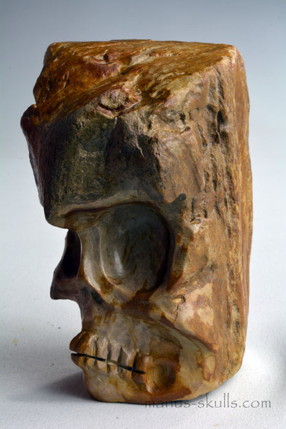 Petrified Wood Skull