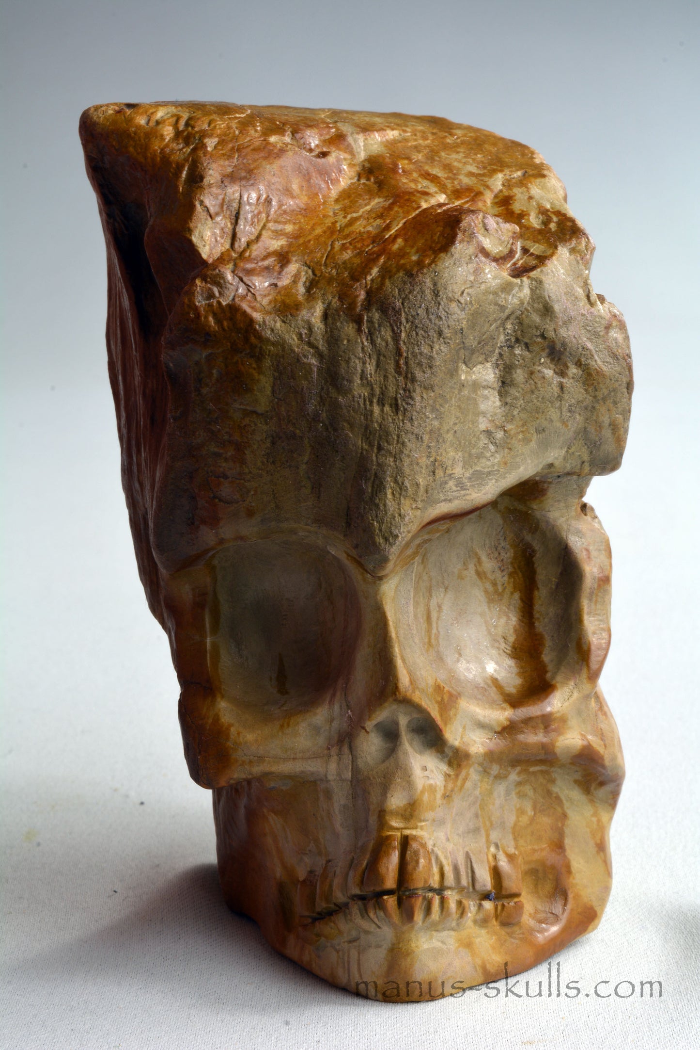 Petrified Wood Skull