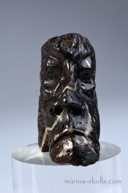 Tsesite Skull