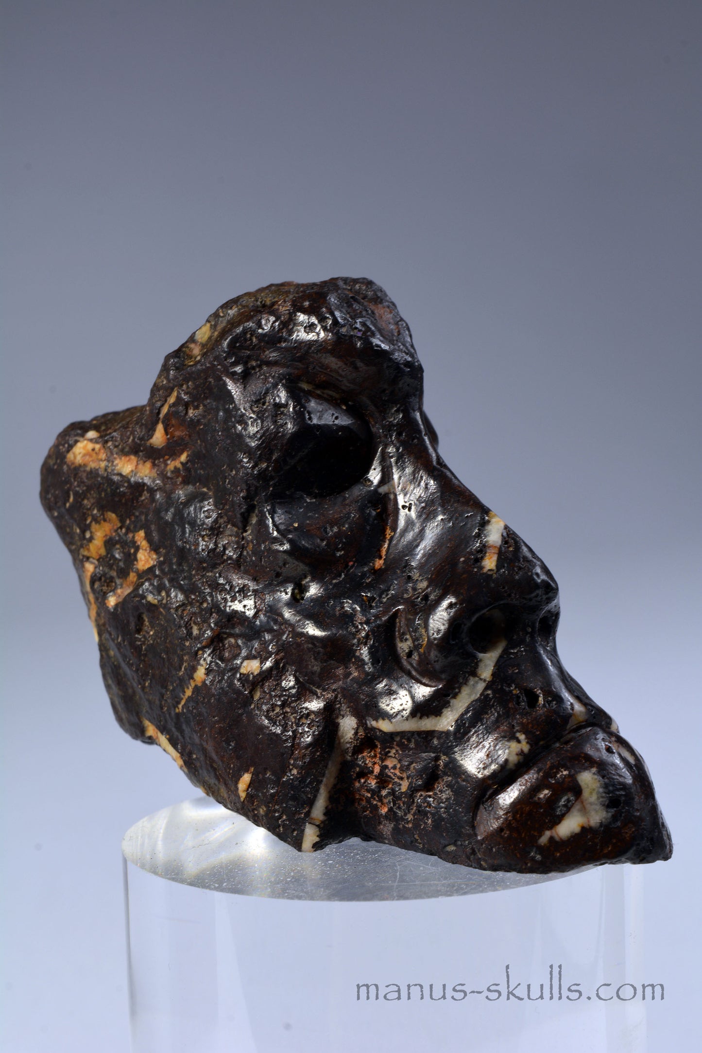 Tsesite Skull