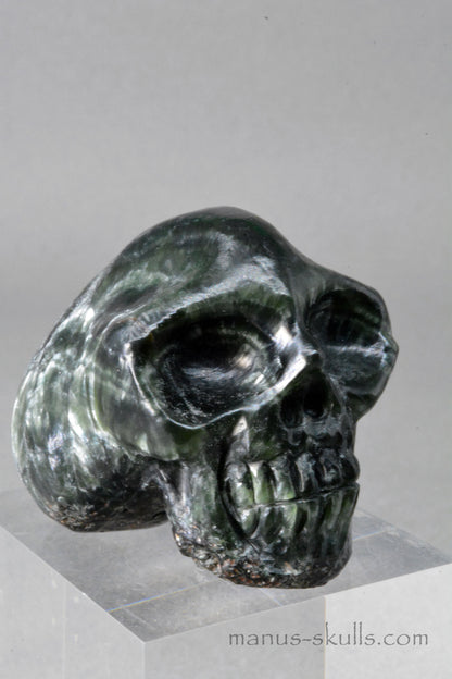 Seraphinite Skull
