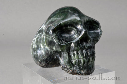 Seraphinite Skull
