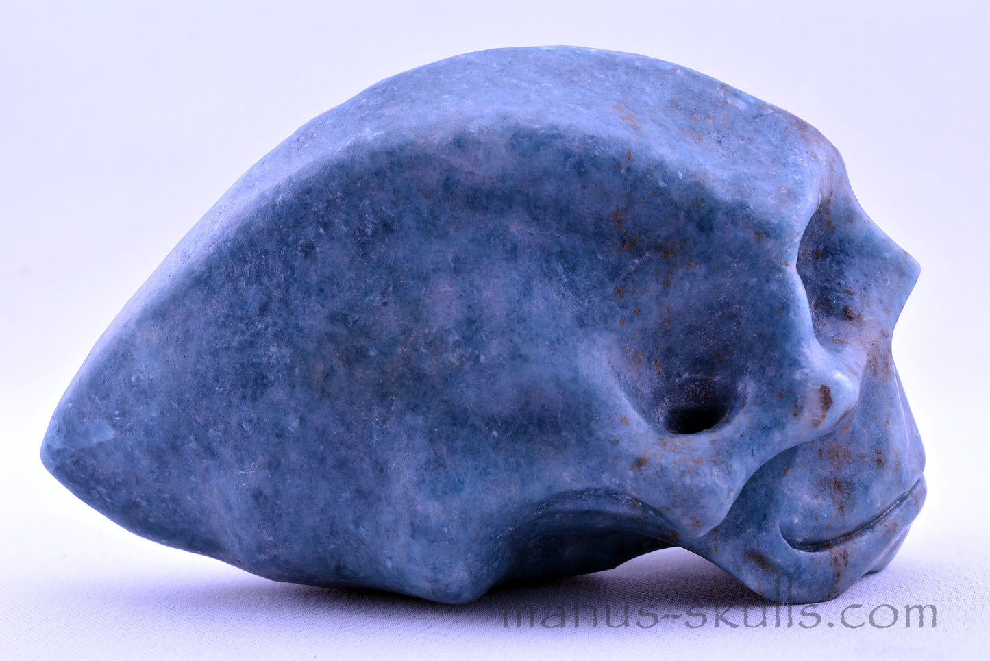 Toothless Traveller TROLLEITE Skull