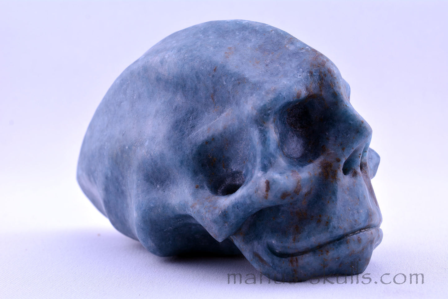 Toothless Traveller TROLLEITE Skull