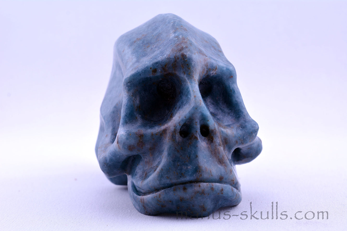 Toothless Traveller TROLLEITE Skull