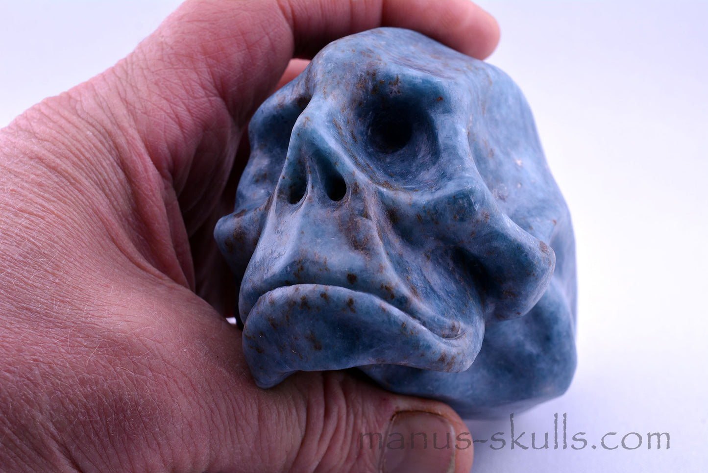 Toothless Traveller TROLLEITE Skull