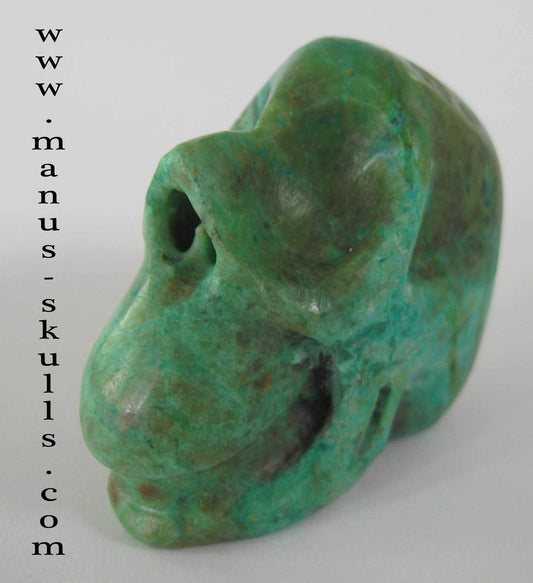 Chrysocolla Skull