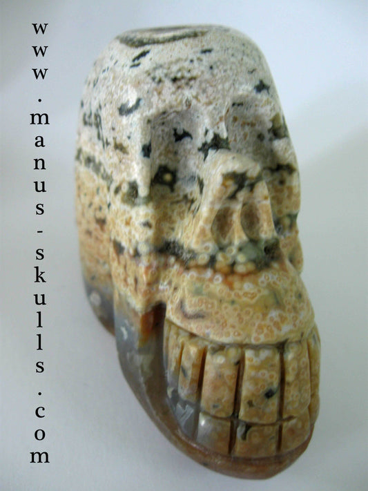 Ocean Jasper Skull