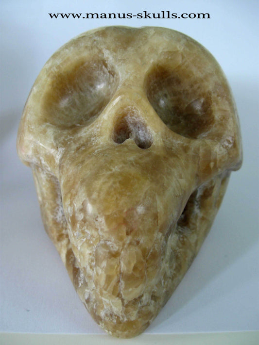 Honey Calcite Skull