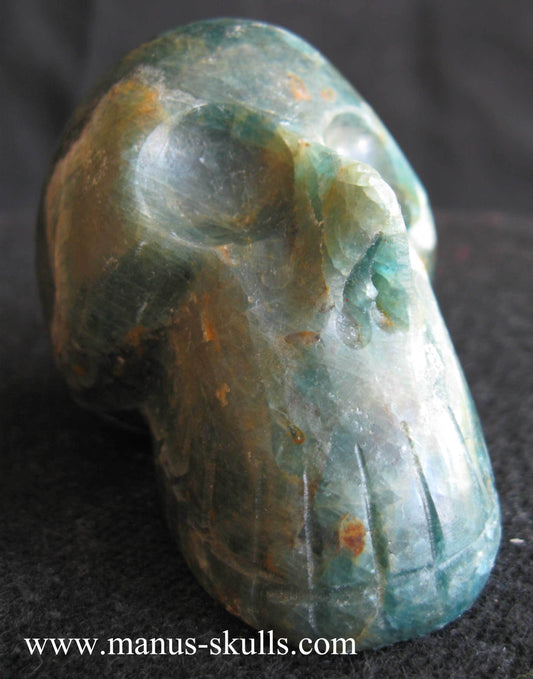 Apatite Skull