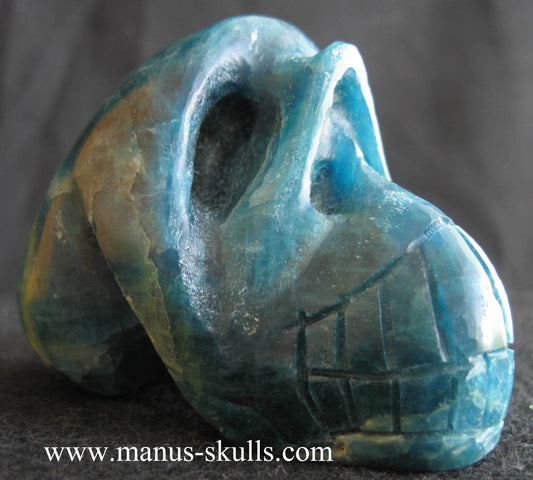 Apatite Skull