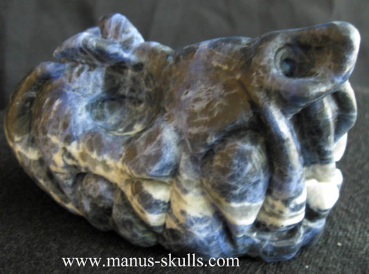 Sodalite Dragon