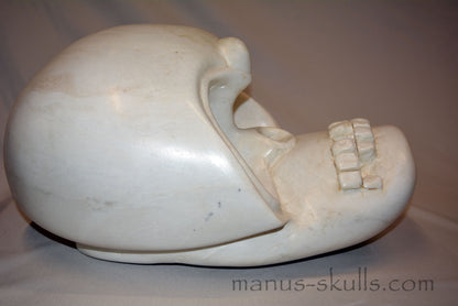 Monumental White Steatite Evolian Skull #48