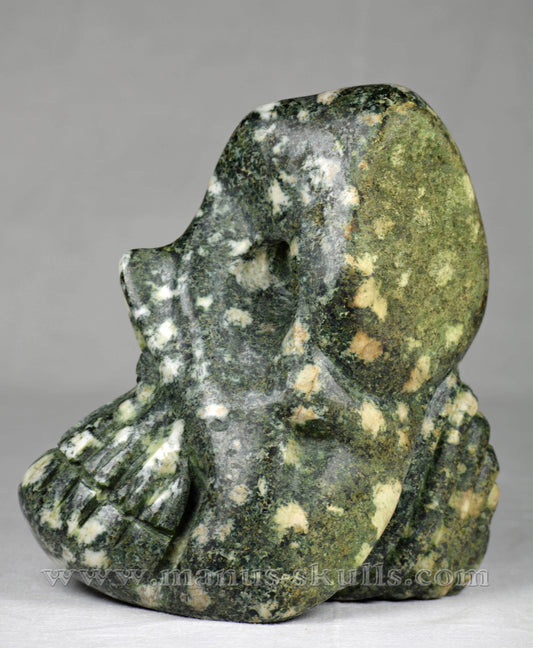 Preseli Bluestone Skull