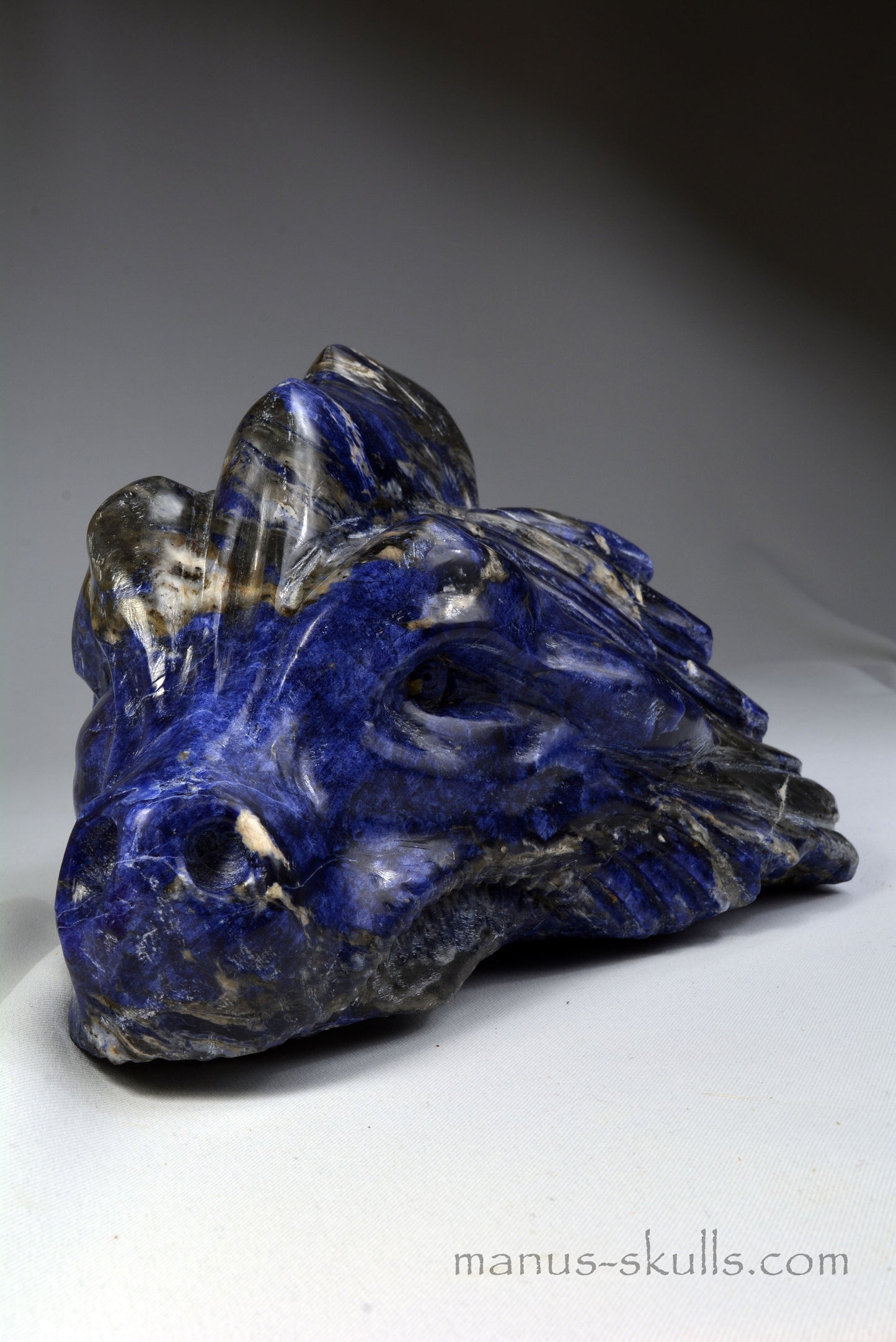 1th. Skulpture 2023 Sodalite Dog Dragon