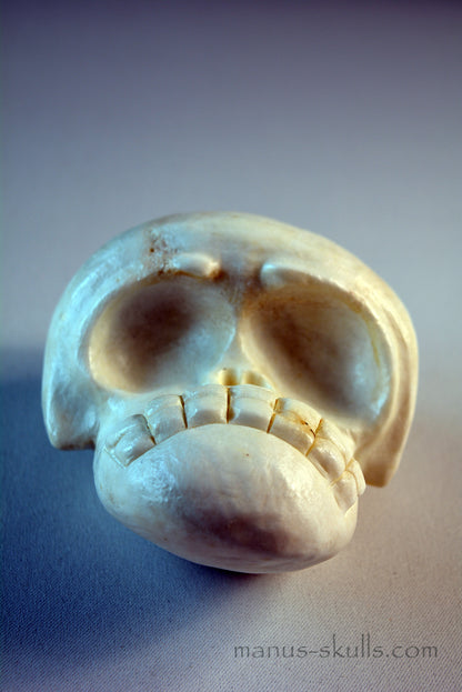 White Steatite Evolian Skull #51
