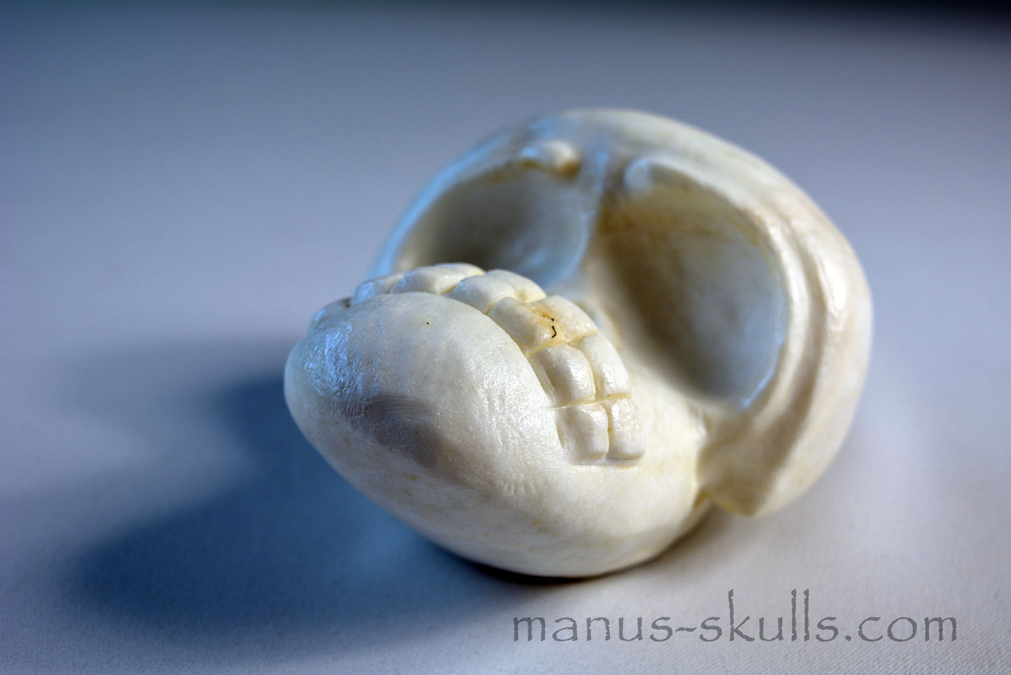 White Steatite Evolian Skull #51