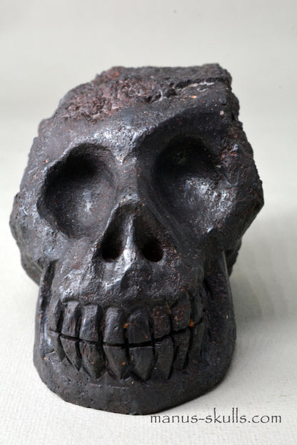 Mundrabilla Meteorite Tektite Skull