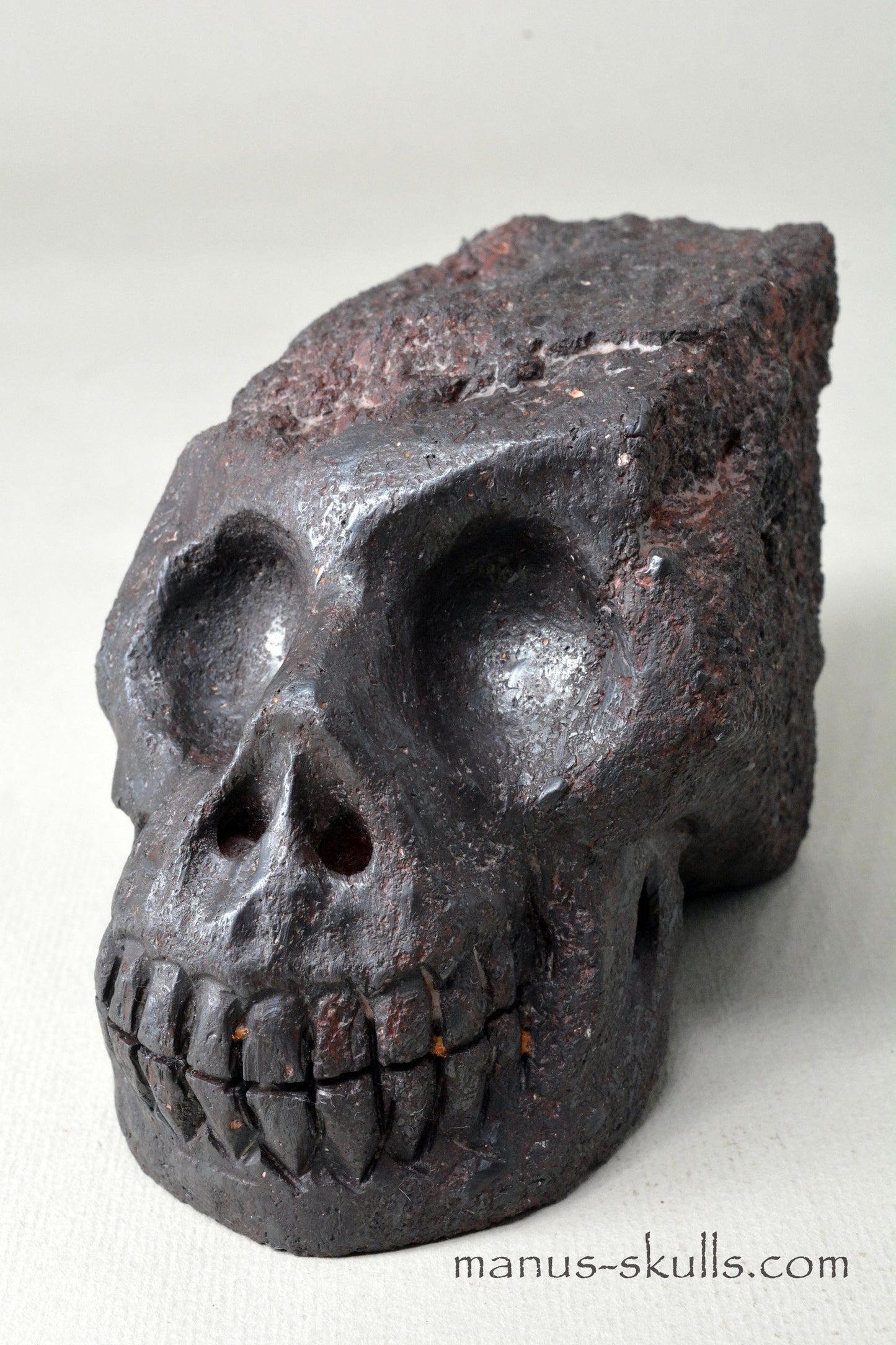 Mundrabilla Meteorite Tektite Skull