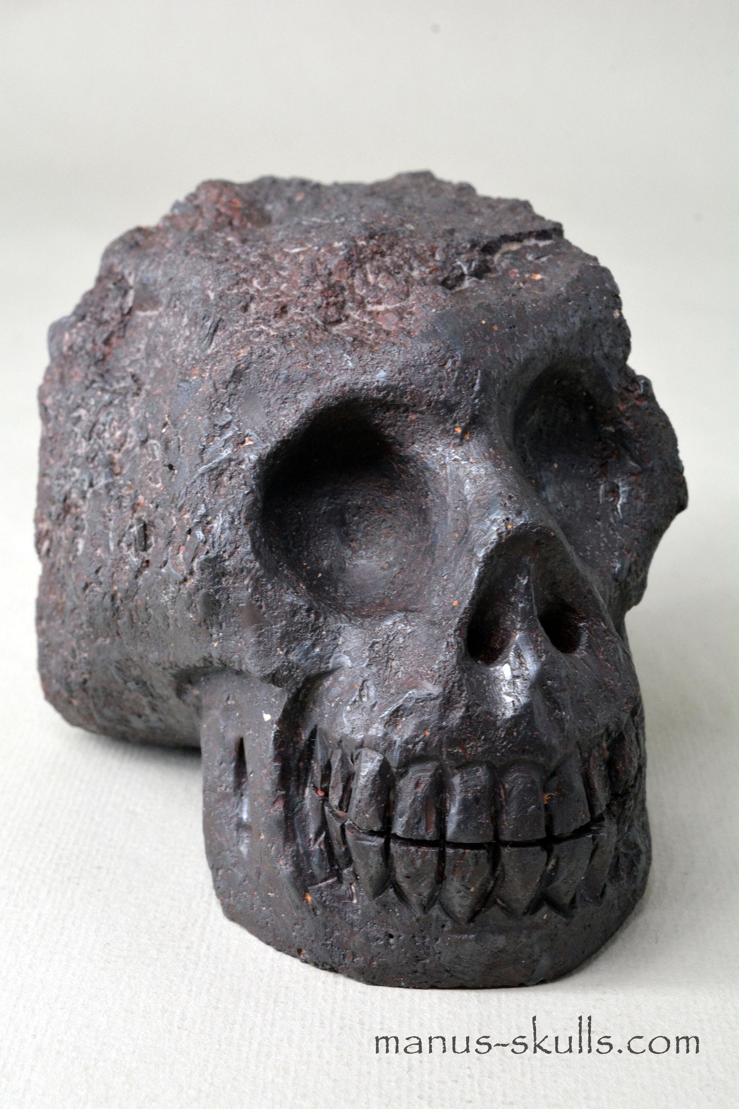 Mundrabilla Meteorite Tektite Skull