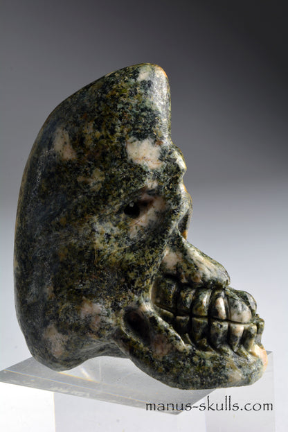 Preseli Bluestone Conehead Skull