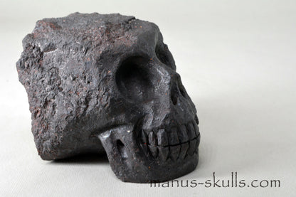 Mundrabilla Meteorite Tektite Skull