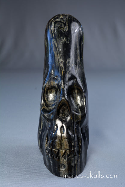 Isua Coneahead Skull