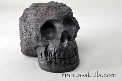 Mundrabilla Meteorite Tektite Skull