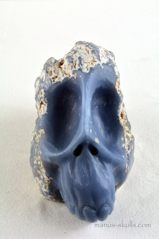 Angelite Skull