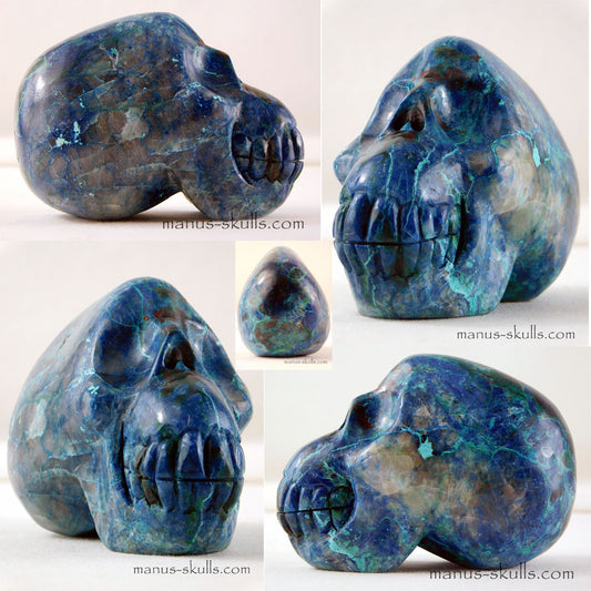 Quantum Quattro Skull