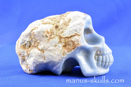 Angelite Skull