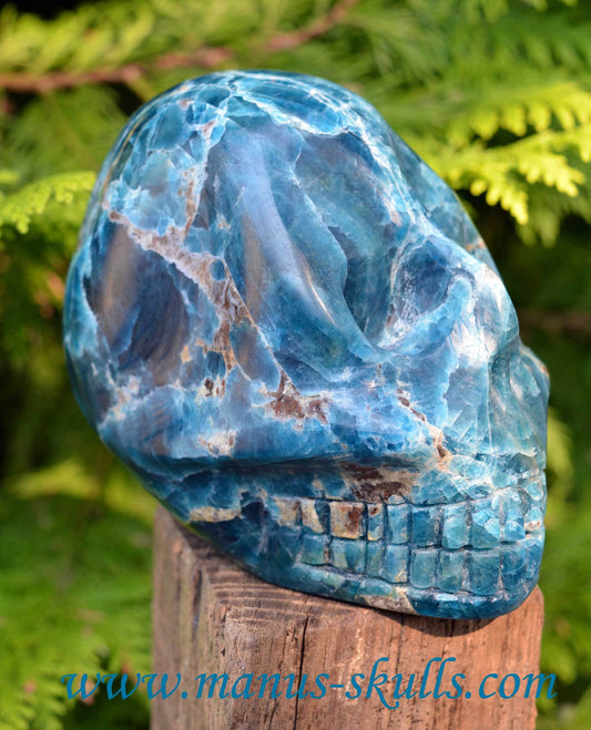 Apatite Skull