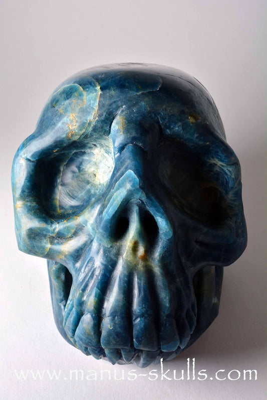 Apatite Skull