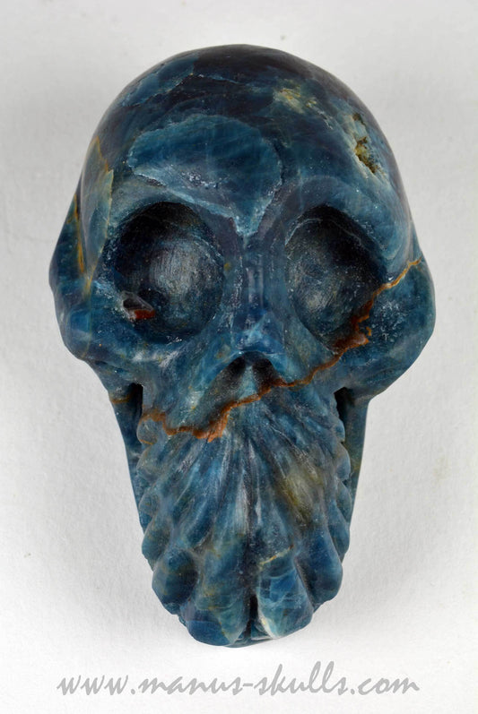 Apatite Skull