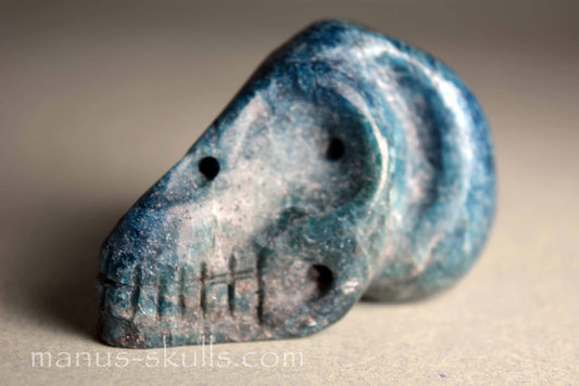 Apatite Skull