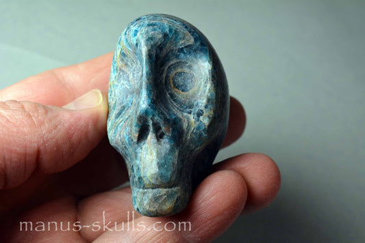 Apatite Skull