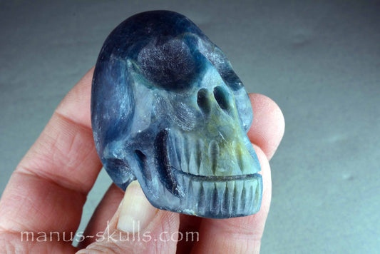 Apatite Skull