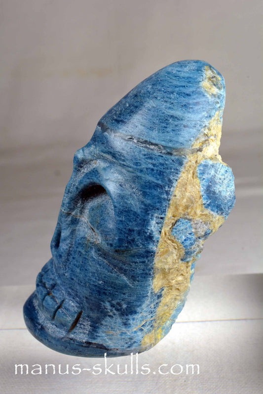 Apatite Skull