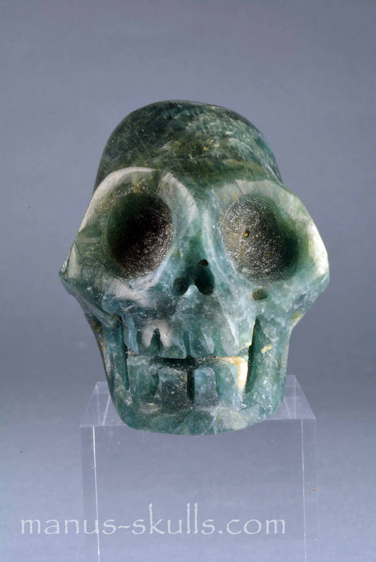 Apatite Skull