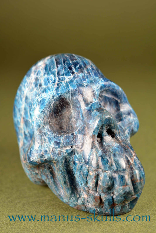 Apatite Skull