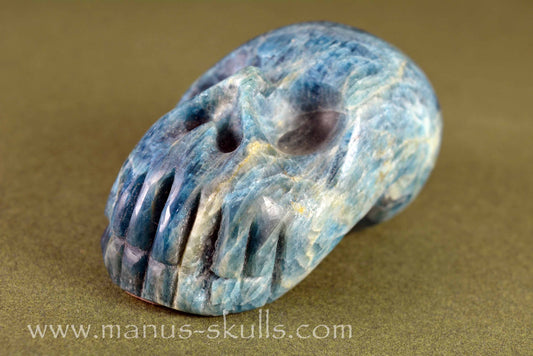 Apatite Skull