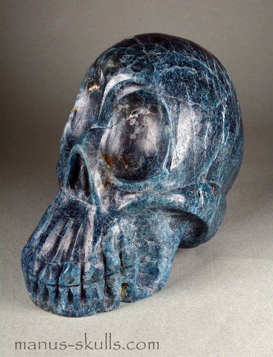 Apatite Skull