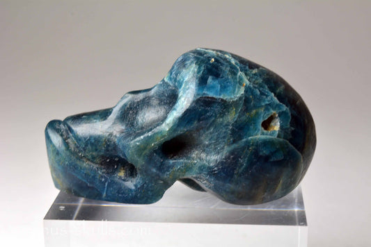 Apatite Skull