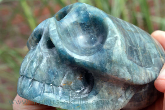 Apatite Skull